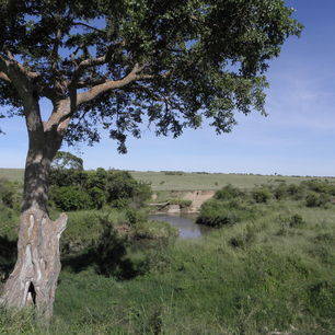 Kenia-Masai-Mara-Uitzicht_1_390709