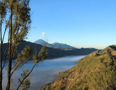 De Bromo Vulkaan op Java
