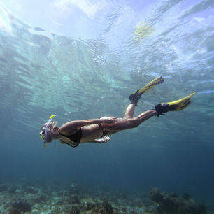 Malediven-onderwaterwereld-snorkelen_1_374833
