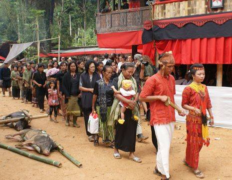 Sulawesi-Torajaland-ceremonie_1