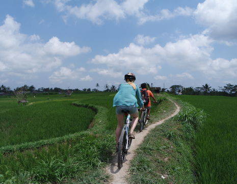 Indonesie-Bali-Ubud-fietsen