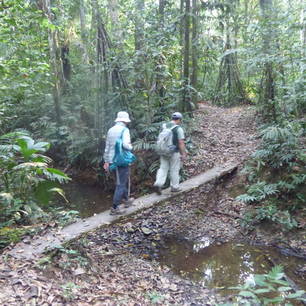 Niet alleen over de makkelijke paden in Madidi National Park - Bolivia