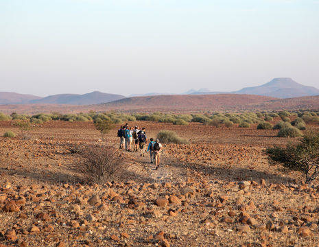 Namibie-Palmwag-Wandeling(8)