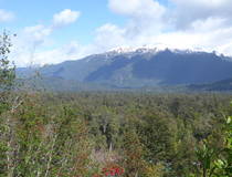 Trekking Alerce Andino National Park