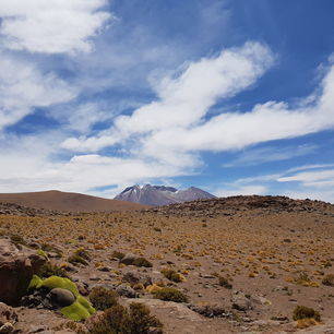 Bolivia-Uyuni-droge-vlaktes-en-mos_1_362691