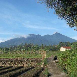 Indonesie-Java-Bogor-Mount-Salak