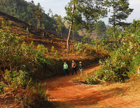 Myanmar-Kalaw-wandeling(8)