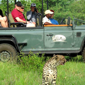 korte safari zuid afrika
