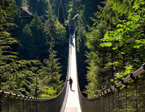 Vancouver-Capilano-Suspension-Bridge-Wandeling