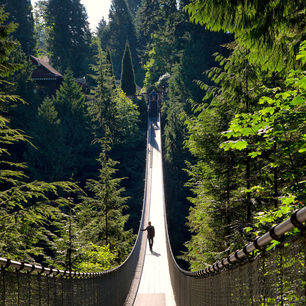 Vancouver-Capilano-Suspension-Bridge-Wandeling