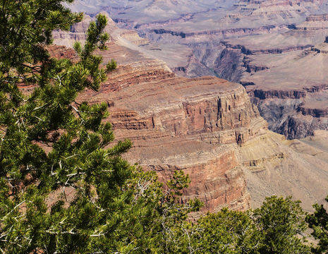 Amerika-Grand-Canyon-Uitzicht-1