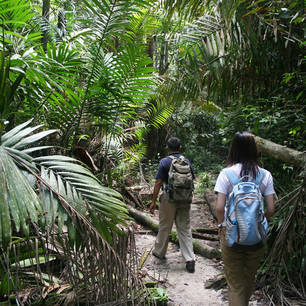 Maleisie-MaleisischBorneo-Sarawak-BakoNationalPark-jungletrekking shutterstock_2312066(8)