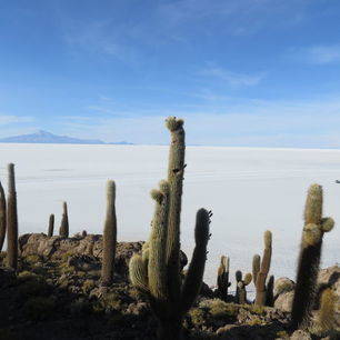 Uitzichten-zoutvlakte-Uyuni-Bolivia