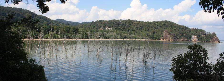 Maleisie-Borneo-Sarawak-Bako-nationalpark-baai(13)