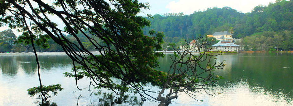 Sri-Lanka-Kandy-natuur-tempelvandetand