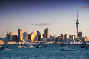 Nieuw-Zeeland-Auckland-Skyline-2