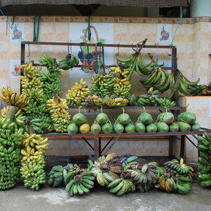 Sulawesi-Torajaland-Bananenkraam