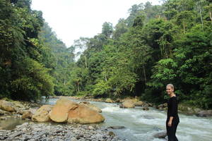 Bukit Lawang: 2-daagse jungletrekking