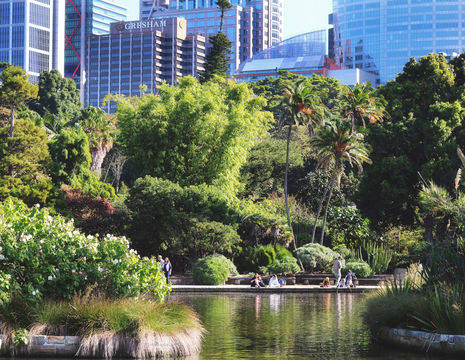 Australie-Sydney-botanische-tuin