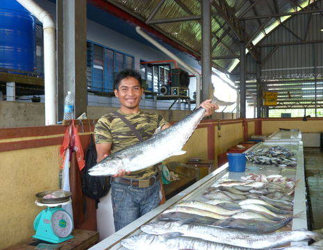 Maleisie-Sabah-Kota-Kinabalu-vismarkt