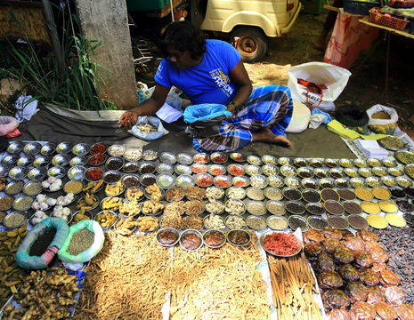 Sri-Lanka-Habarana-Markt2