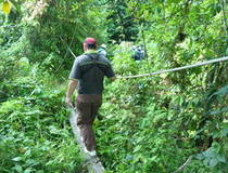 Kota Kinabalu, Junglewandeling op Gaya