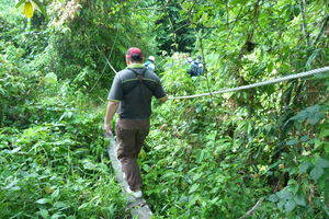 Kota Kinabalu, Junglewandeling op Gaya