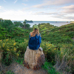 Nieuw-Zeeland-Coromandel-natuur-wandelen