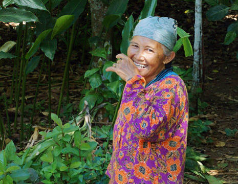 Indonesie-Java-lachende-vrouw