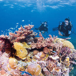 Duikers bij het Great Barrier Reef
