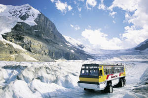 Combi tour Columbia Icefield