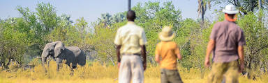 Kampeersafari in Botswana