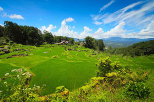 Indonesie-Sulawesi-Torajaland-landschap_3_217542