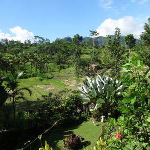 Indonesie-Bali-Sidemen-landschap