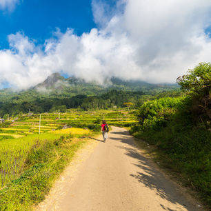 Indonesie-Sulawesi-Toraja-landschap-trekker_1