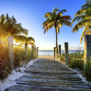 Amerika-Florida-Miami-Beach_1_498327