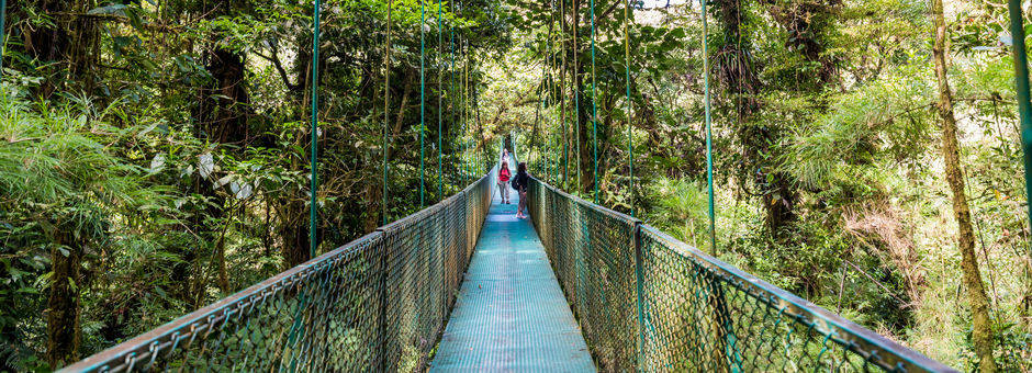 Monteverde-8-hanging-bridge_mini_1_390100