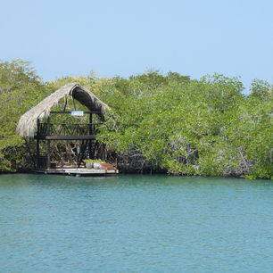 Colombia-Islas-del-Rosario-mangrove