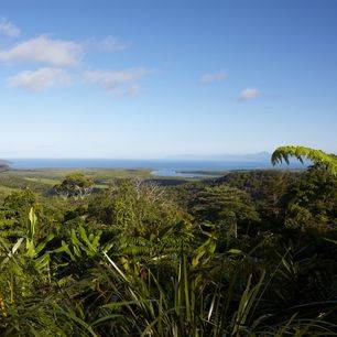 Australie-Daintree-Rainforest-uitzicht