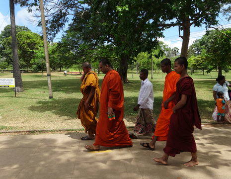 Anuradhapura-Monnik1_1_375321