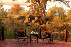Zuid-Afrika-Krugerpark-Safari-Lodge