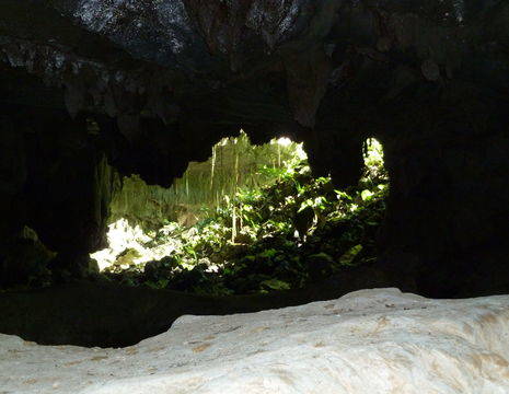 Grotten in het Mulu National Park op Sarawak