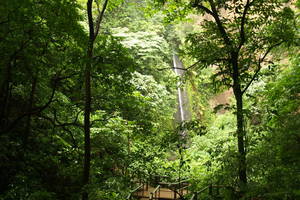 El Chocoyero Nature Reserve