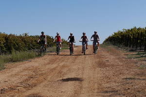 Op de fiets langs wijngaarden