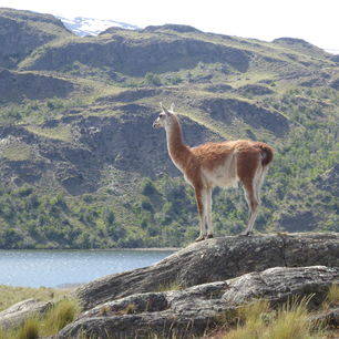 Chili-Parque-Patagonia