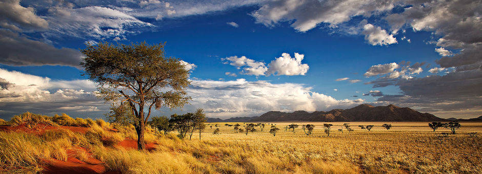 Namibie-NaukluftNationalPark-natuur