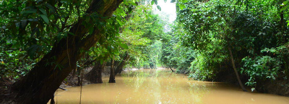 Menunggul-rivier-Sukau(13)