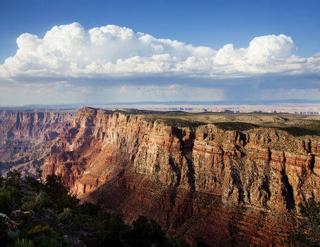 Amerika-Grand-Canyon-Papillon_1_509536