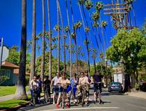Hollywood fietstour