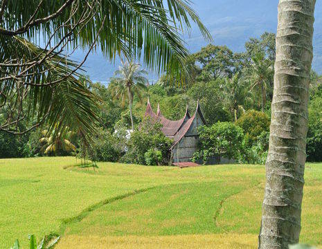 Indonesie-Sumatra-bukittinggi-huis-sawah1
